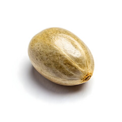 A single dried hemp seed, nutrient-rich and nutty-flavored, used in health foods, supplements,