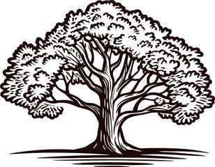Vintage hand drawn oak tree silhouette with spreading branches and dense foliage isolated on white background