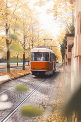 Vintage trams glide down a tree lined avenue ablaze with autumn hues in Prague, blending historic charm with nostalgic flair in the city iconic public transport network.