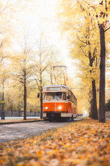 Vintage trams glide down a tree lined avenue ablaze with autumn hues in Prague, blending historic...