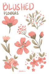 Vector floral blushed pink flowers watercolor