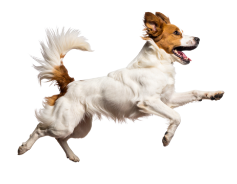 Side Profile of Excited Dog Leaping Up, Tail Wagging and Mouth Open, PNG