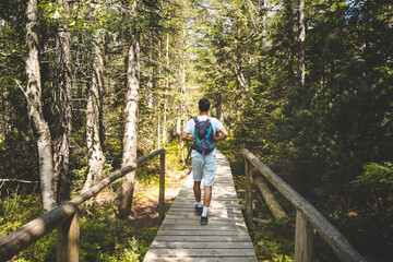 A man is walking on a wooden bridge in a forest