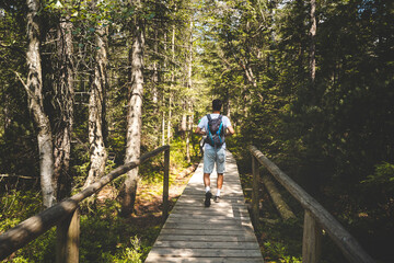 A man is walking on a wooden bridge in a forest