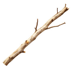 Natural weathered dry tree branch with small twigs isolated on transparent background