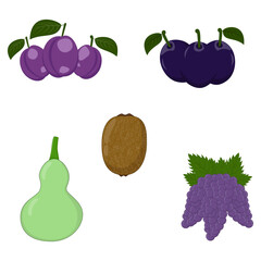 Vector Illustration of Purple Fruit, Kiwi, and Bottle Gourd in Flat Style