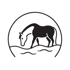 Horse Drinking Water From Quiet River