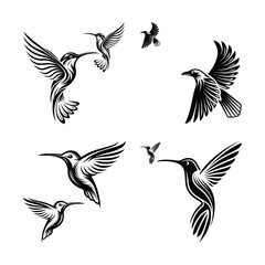 Obraz premium set of silhouettes of birds vector on white background