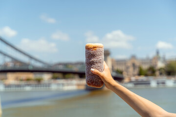 Sweet Hungarian Chimney Cake with Scenic City View