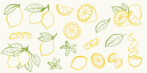 Hand drawn lemon illustrations. Whole lemons, lemon slices, zest spirals, citrus blossoms, and green leaves. Vector lemon in doodle style for summer design, recipe cards, kitchen print and packaging.