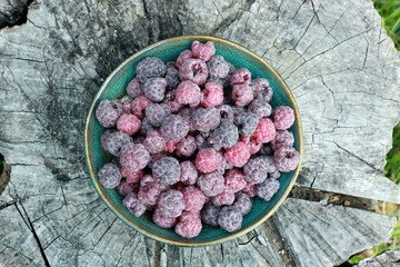 Purple raspberries, lat. Rubus hybridus Glen Coe on the tree stump. Detail of a bowl full of ripe raspberries against natural wood stump.