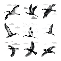set of silhouettes of birds vector