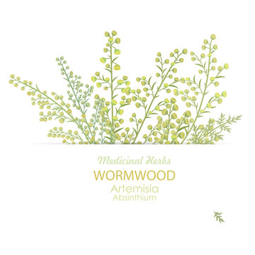 banner with bunch of blooming Artemisia vulgare. frame of Artemisia absinthium wildflowers. card with medicinal herbal wormwood flower