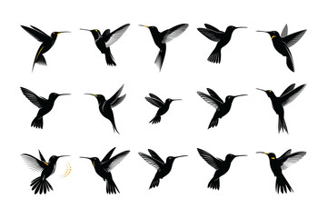 set of silhouettes birds