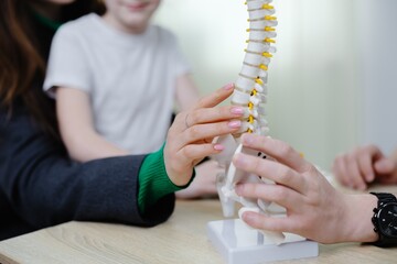 Doctor explaining cervical spine anatomy using anatomical model