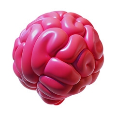 Glossy pink brain model with smooth rounded lobes on white background