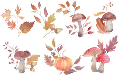 Watercolor set of autumn floral with mushrooms, autumn oak leaves, maple leaves, berries, herbs . For invitations, greeting cards. Vector EPS.