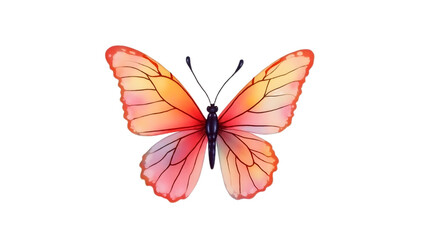 Fototapeta premium Colorful butterfly with open wings, isolated on transparent background. 