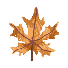 Autumn leaf illustration with warm orange and brown tones. Hand drawn leaf isolated. Perfect for seasonal, fall, or nature-themed design projects