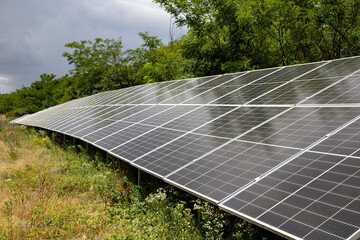 Solar Panels in a Green Natural Environment