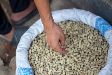 A man holds some nut in a sack
