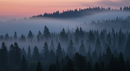Misty Forest at Sunrise
