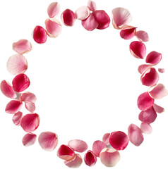 Obraz premium Flat lay of flower petals symmetrically arranged in a round shape on transparent background, ideal for spa or wellness themes. 