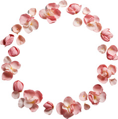 Obraz premium Flat lay of flower petals symmetrically arranged in a round shape on transparent background, ideal for spa or wellness themes. 
