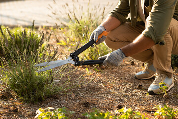 Man working in the cottage garden and planting the flowers