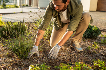Man working in the cottage garden and planting the flowers