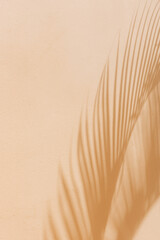 Shadows of a palm leaf creating delicate patterns on a warm beige background
