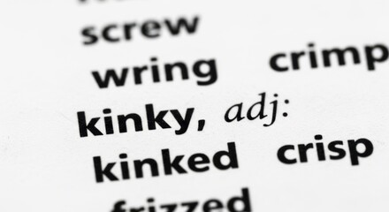 Fototapeta premium Close up of dictionary page showing the word kinky and other related terms