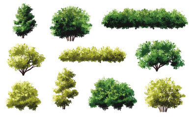  Vector watercolor green  tree or forest side view isolated on white background for landscape and architecture drawing,elements for environment or and garden,Shrub for section