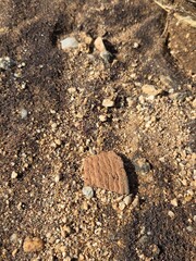 Hohokam pottery shard with intricate design surrounded by tiny red garnets- Tucson, Arizona