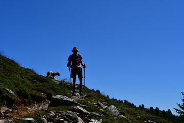 Obraz premium Mann und sein Lagotto Romagnolo Hund wandern im Ultental in Südtirol 