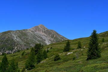 Obraz premium Schöne Landschaft im Ultental in Südtirol 