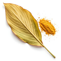 A single dried turmeric leaf, aromatic and earthy, commonly used in cooking,