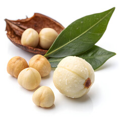 A single whole dried lotus seed, nutritious and mildly sweet, used in cooking,