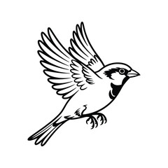 Fototapeta premium A black and white illustration of a sparrow in flight bird flying