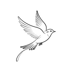 Obraz premium Elegant black outline of a bird in flight flying wings