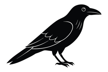 crow vector icon