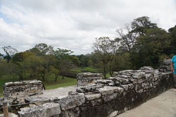 Tree, Tourist, Ruins of palenque, maya, ancient, arquitecture, green, vegetation, trees, jungle at...