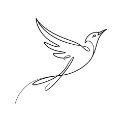 Fototapeta premium Elegant black line art of a bird in flight wings tail