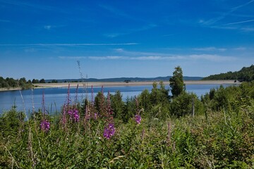 Goslar, Niedersachsen, Fahrradrunde um die Granetalsperre