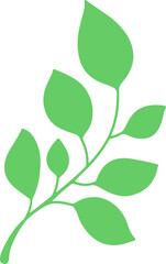 Green Leaf Illustration