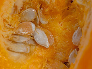 Kerne vom Hokkaido-Kürbis in einer Nahaufnahme