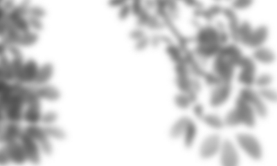 Natural leaf shadow effects isolated on transparent background. Blurred tree branch shadow. Plant leaves shade. Spring decoration, Mockup, template for product display, Smmer design elements, PNG