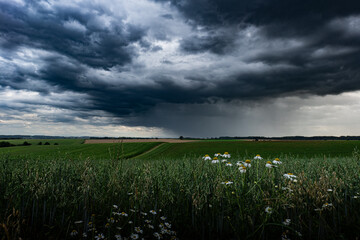 Regenschauer am Horizont