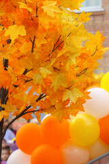 Postcard by first September:yellow leaves and yellow balloons.