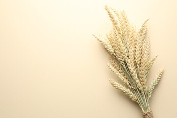 Bunch of wheat spikes on beige background, top view. Space for text